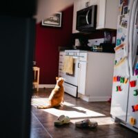 Bonus-Capturingspaces06