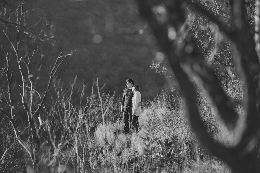 Adirondack Photography A Couple Standing On A Hill Overlooking The Bluffs